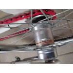 спортен велосипед DOMINATOR SPORT 28 цола диск SHIMANO NEXUS 3 спортен велосипед DOMINATOR SPORT 28 цола диск SHIMANO NEXUS 3